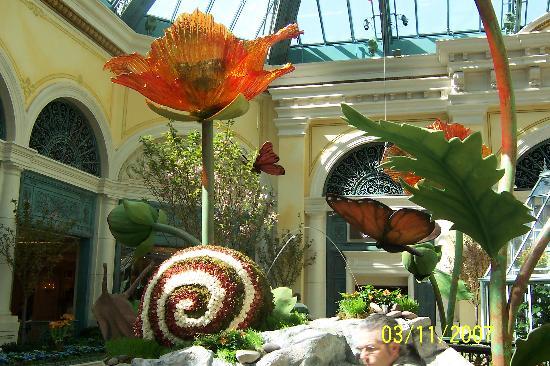 Jardín Botánico del Bellagio